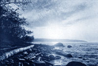 icon_the-night-the-moon-never-rose